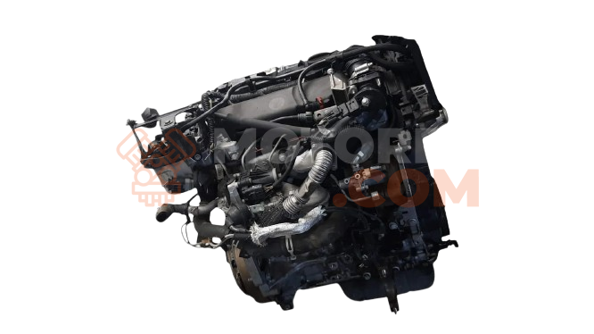 Motor T1DA Ford C-MAX 1.6 TDCi (109 cv)