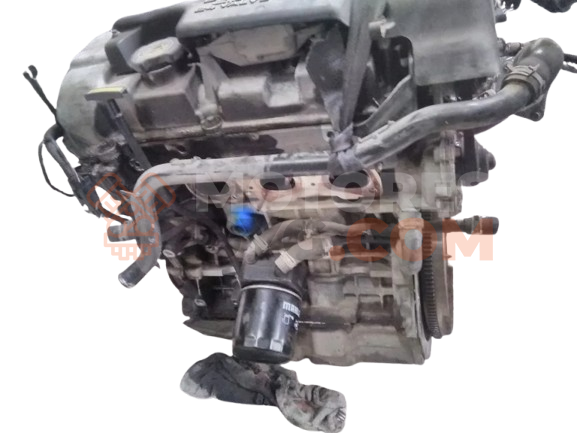 Motor T1DA Ford C-MAX 1.6 TDCi (109 cv)