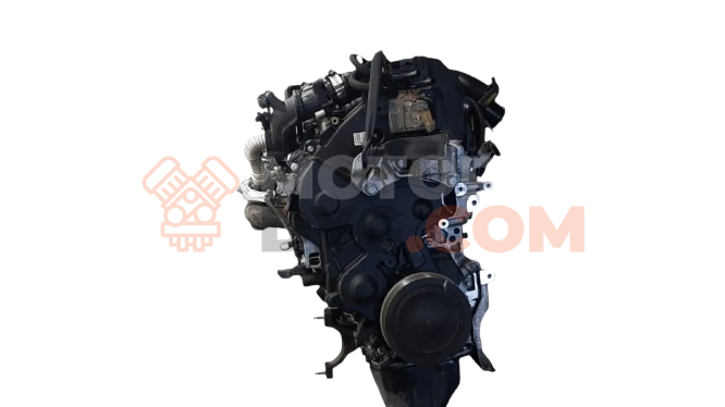 Motor T1DA Ford C-MAX 1.6 TDCi (109 cv)
