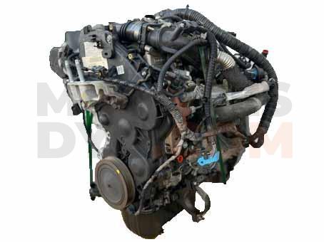 Motor T1DA Ford C-MAX II (Versión 2015) 1.6 TDCi (115 cv)