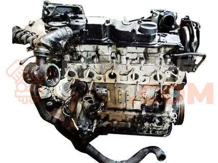 Motor T1DA Ford Focus III Hatchback 1.6 TDCi (115 cv)