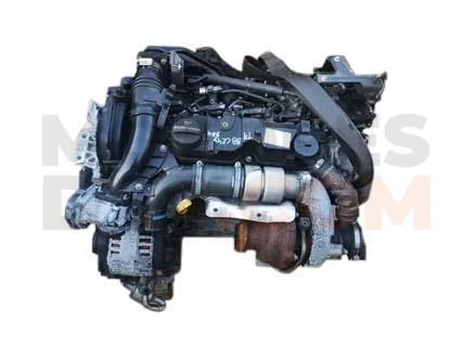 Motor T1DA, T1DB Ford Focus III Sedan (Versión 2014) 1.6 TDCi (115 cv)