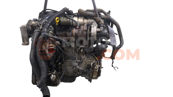 Motor T1DB Ford FOCUS III 1.6 LPG  (120 CV)
