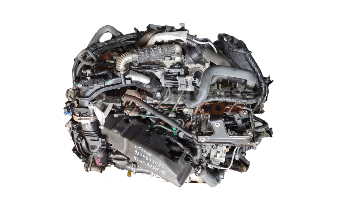 Motor T1db Ford FOCUS III 1.6 TDCi (115 CV)