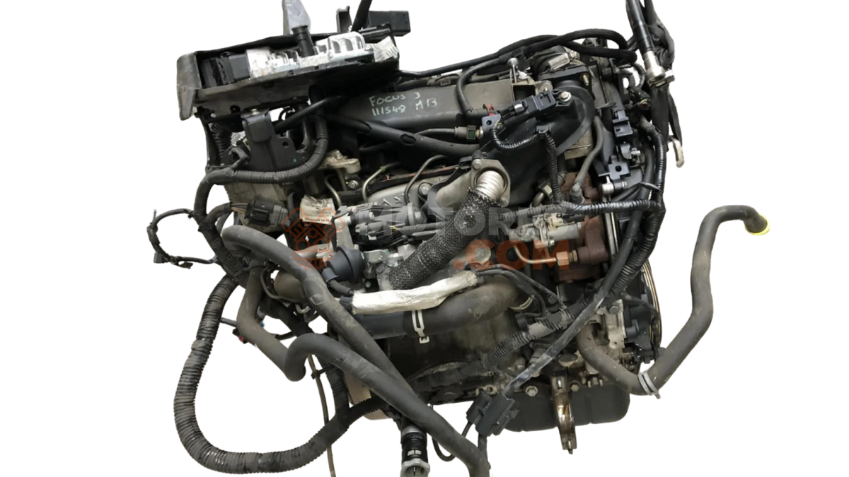 Motor T3DA Ford FOCUS III 1.6 TDCi  (95 CV)