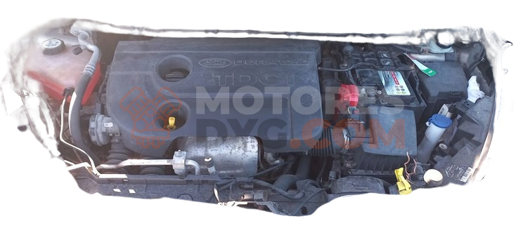 Motor t3jb Ford B-MAX 1.6 Duratec (105 cv) Powershift