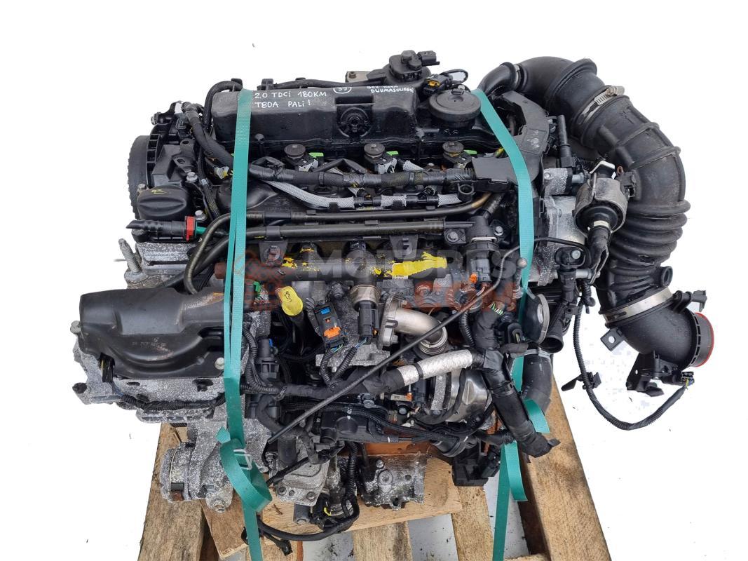 Motor T8DA Ford Focus III Hatchback (Versión 2014) ST 2.0 TDCi (185 cv)