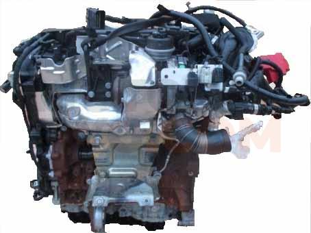 Motor T8DE Ford C-MAX II (Versión 2015) 2.0 TDCi (170 cv) PowerShift S&S