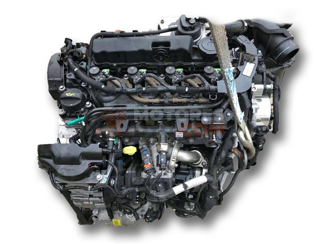 Motor T8MA Ford Kuga II 2.0 TDCi (140 cv)
