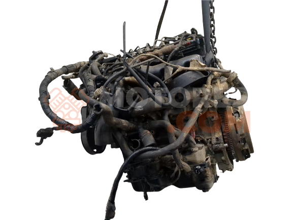 Motor TAP49 Renault Koleos (Fase II) 2.0 (150 cv)