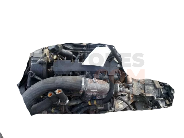 Motor TD2009 Iveco Daily IV Caja/Chasis 35S17 W, 35S17 WD (170 cv)