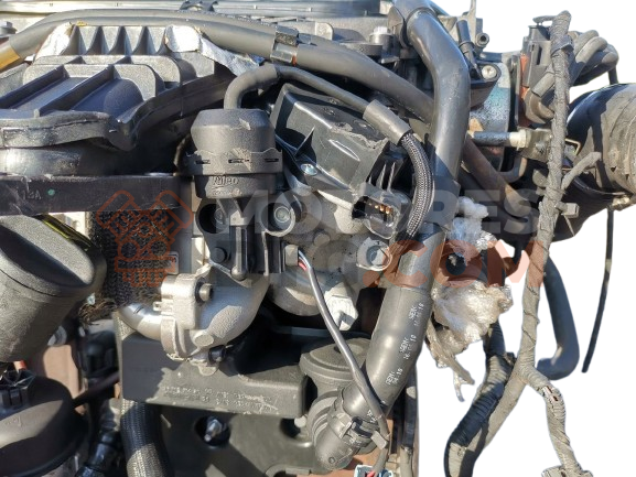 Motor TXWA Ford S-MAX 2.0 i 16V (145)