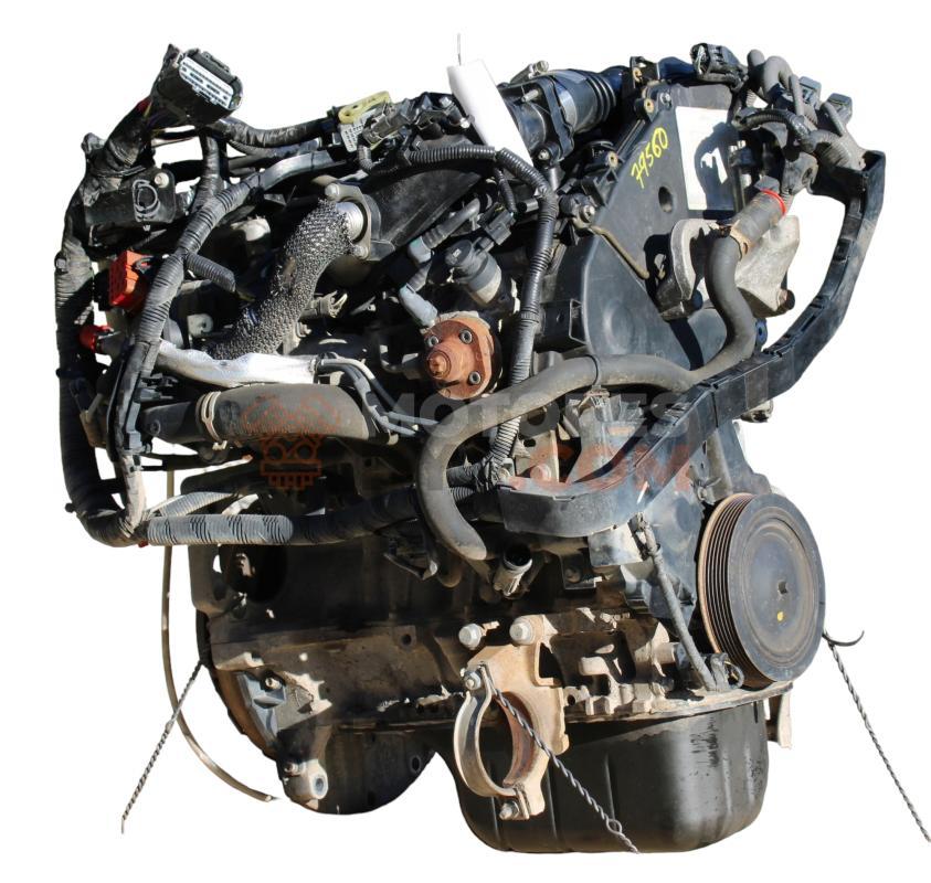 Motor TZJA Ford Fiesta VI 1.6 TDCi Sport (90 cv)