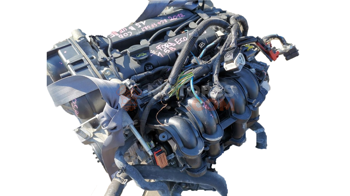 Motor UEJE Ford EcoSport II 1.5 TDCi (100cv)