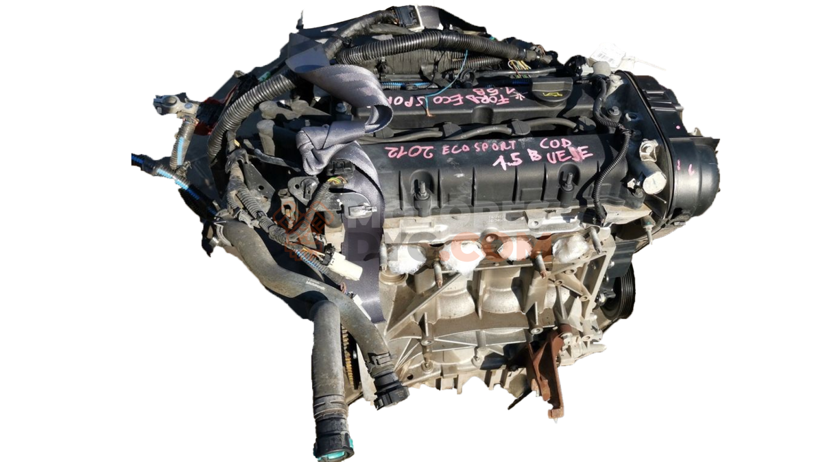 Motor UEJE Ford EcoSport II 1.5 TDCi (90cv)