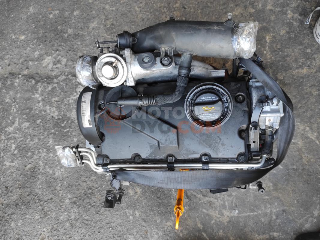 Motor BJB Volkswagen CADDY III (2K,2C) 1.9 TDI (105cv)