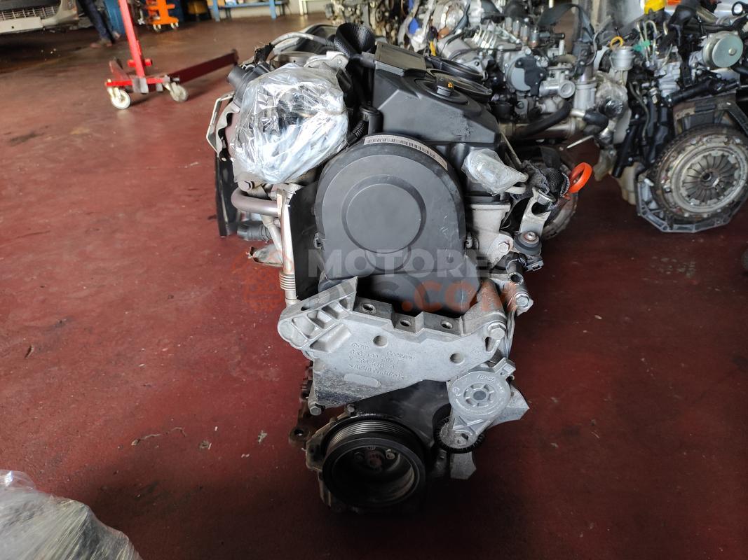 Motor BSU Volkswagen CADDY III (2K,2C) 1.9 TDI (75cv)