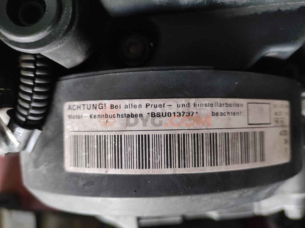 Motor BSU Volkswagen CADDY III (2K,2C) 1.9 TDI (75cv)