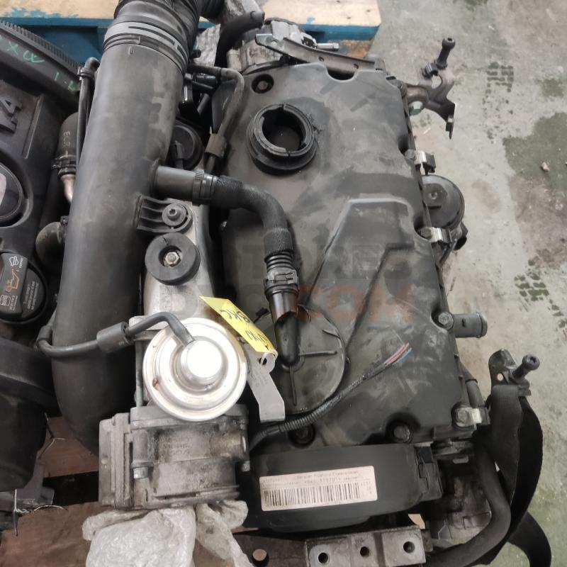 Motor Volkswagen Golf V 1.9 TDI (105 cv)