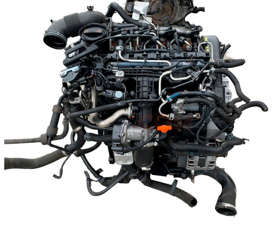Motor CAYC Volkswagen Golf V Plus 1.6 TDI (105 CV)