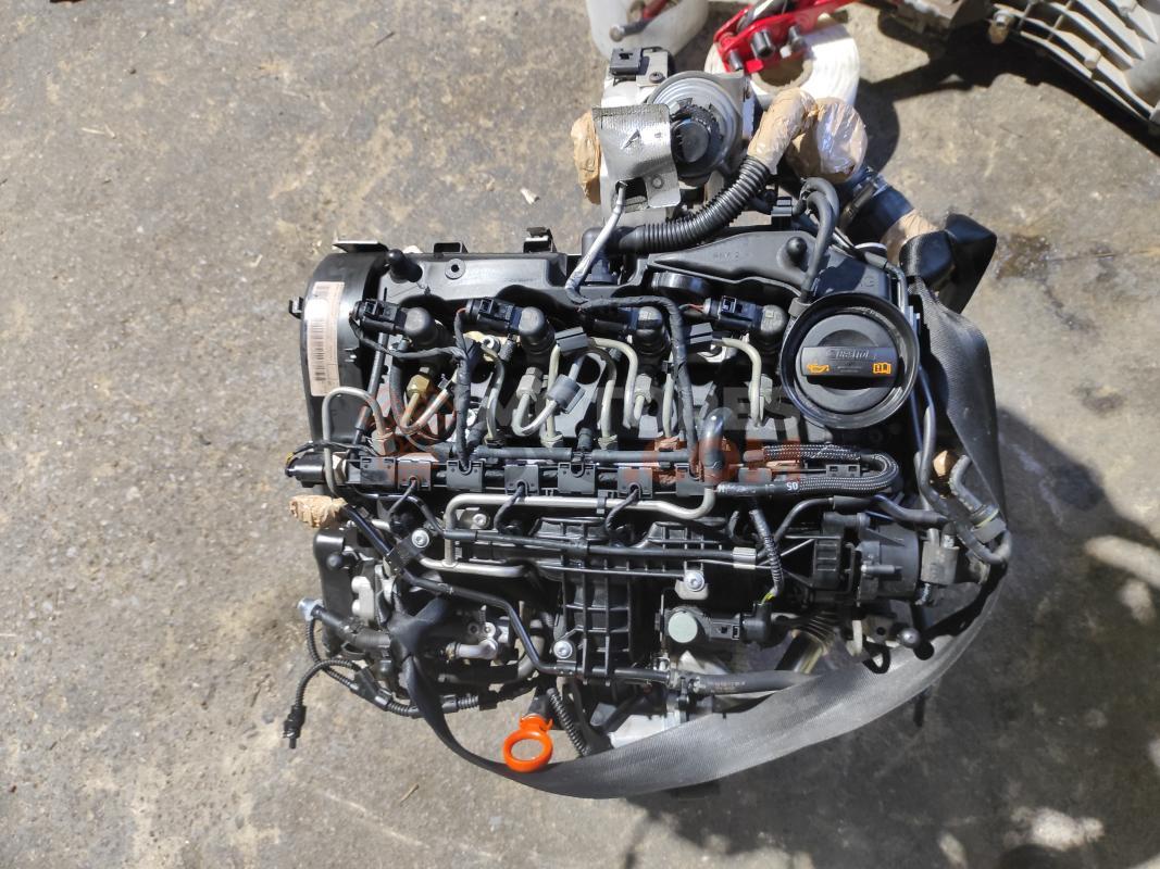 Motor CAY - CAYC Volkswagen Golf VI 1.6 TDI (105cv)