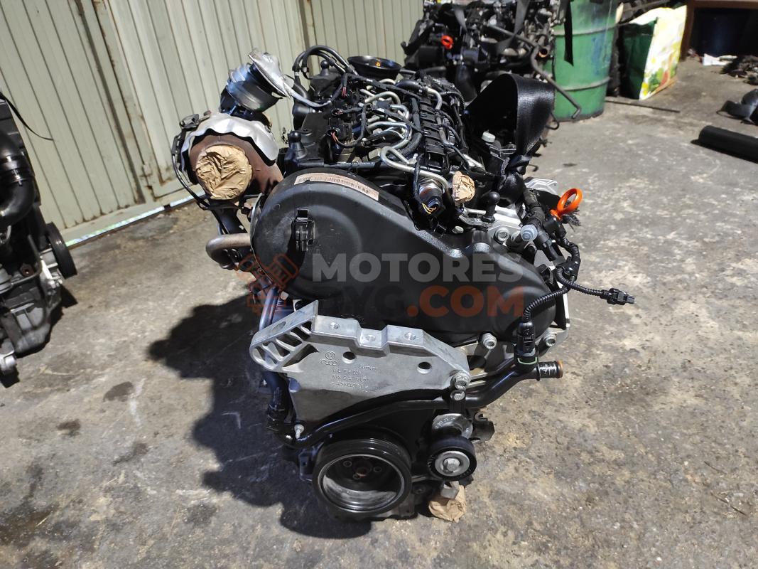Motor CAY - CAYC Volkswagen Golf VI 1.6 TDI (105cv)