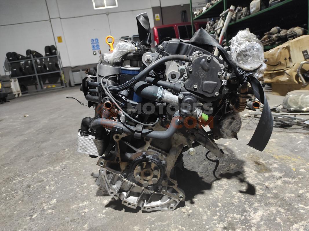 Motor AVF Volkswagen Passat (B5) 1.9 TDI (130 cv) Automatico
