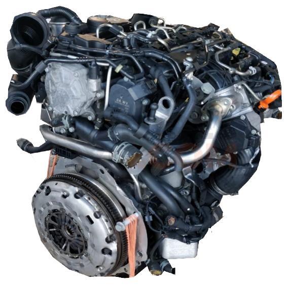 Motor BDG Volkswagen Passat Variant (B5) 2.5 TDI (150 cv)
