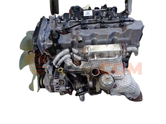 Motor WL Ford Ranger I 2.5 12V Disel CAT (78cv)