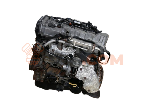 Motor WLT Ford Ranger I 2.5 TD (109cv)