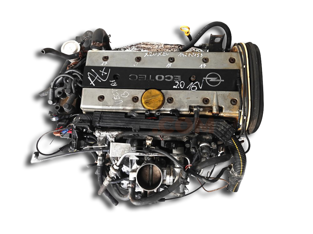 Motor X20XEV Opel Vectra B CC (Versión 1999) 2.0i 16V (136 cv)
