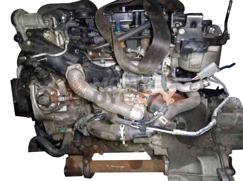 Motor XUJA, XUJB, UGJC Ford Fiesta VII 1.6 TDCi (75 cv)