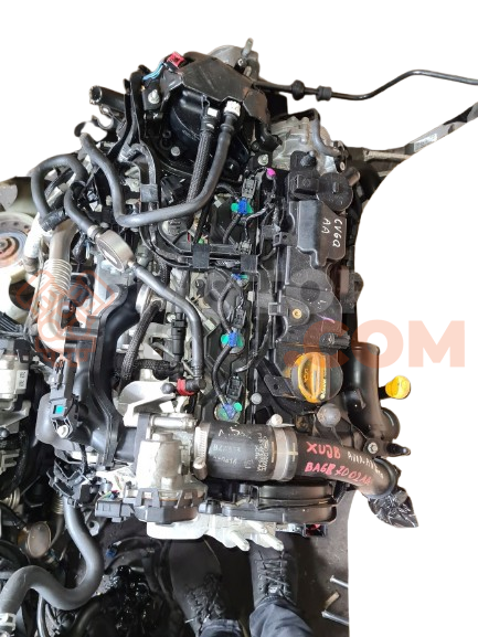 Motor XUJB Ford Fiesta VII 1.4 (71 cv) 3d