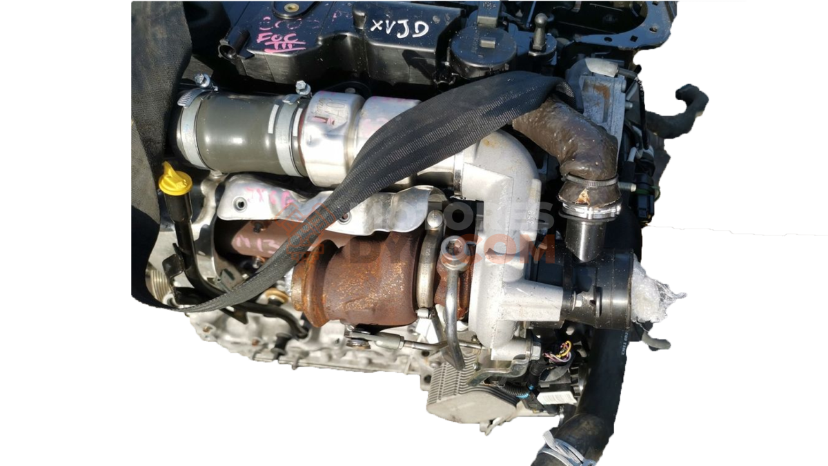 Motor XVJD Ford B-MAX 1.5 TDCi (75 cv)