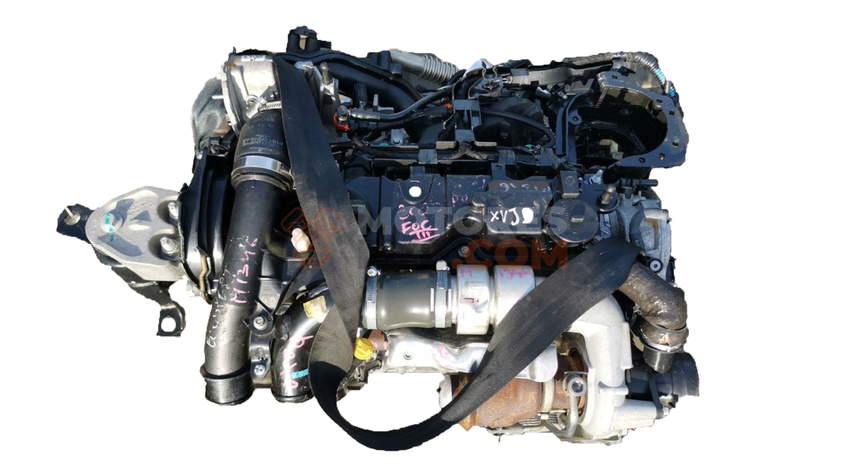 Motor XVJD Ford B-MAX 1.5 TDCi (75 cv)