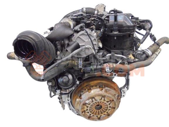 Motor XVJD Ford Transit Connect Monospace 1.5 EcoBlue (101cv)
