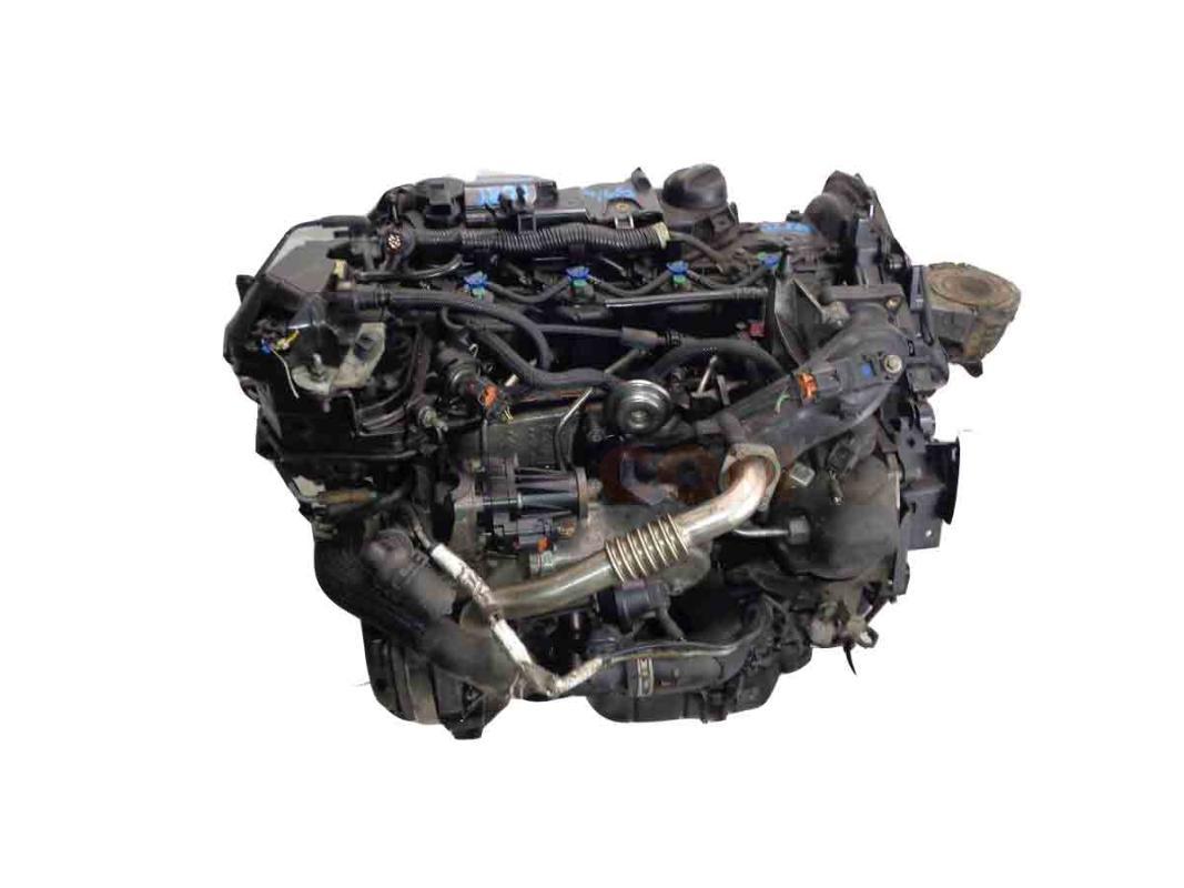 Motor xwdd Ford FOCUS IV 1.5 EcoBlue  (95 CV)