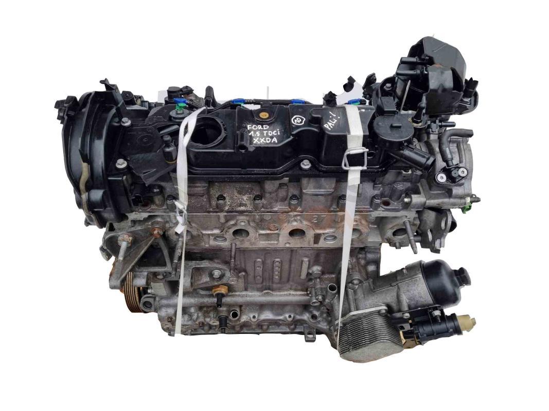 Motor xxda Ford C-MAX II (Versión 2015) 1.5 EcoBoost (182 cv) PowerShift S&S