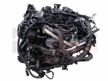 Motor XXDC Ford C-MAX II (Versión 2015) 1.5 TDCi (95 cv)