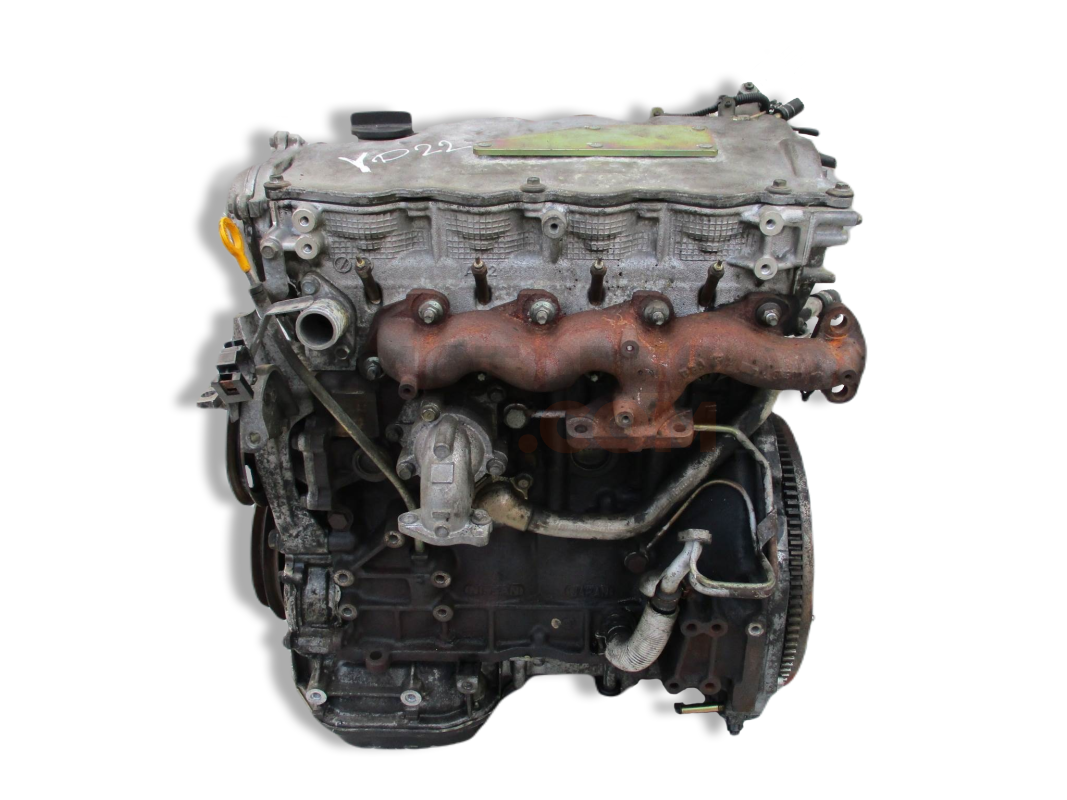 Motor YD22 Nissan Primera (P12) 2.2 dCi (138 cv)