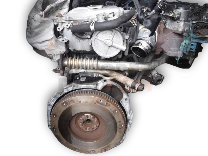Motor YD22DDT Nissan Almera II (N16) 2.2 D (110 cv)