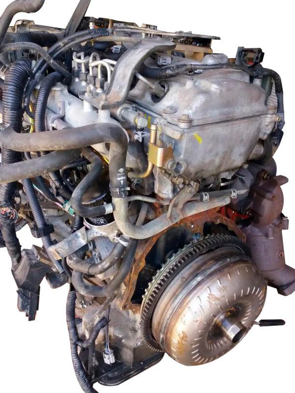 Motor YD25 Nissan Navara III (D40) 2.5 dCi Double Cab (174 cv) 4WD