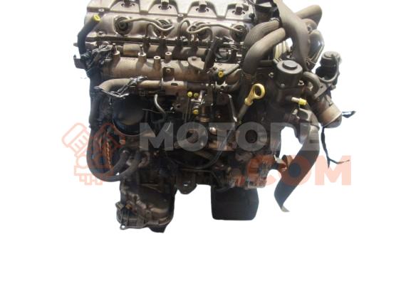 Motor yd25ddti Nissan Navara II (D22) 2.5 dCi Double Cab 4WD (133 cv)
