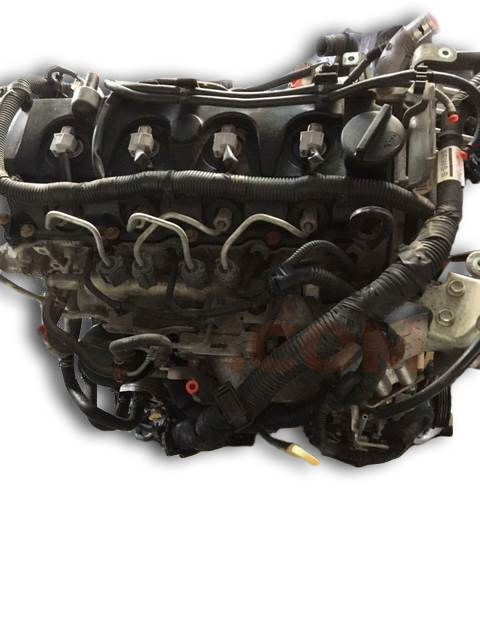 Motor YD25DDTI Nissan Navara III (D40) 2.5 dCi Double Cab (174 cv) 4WD