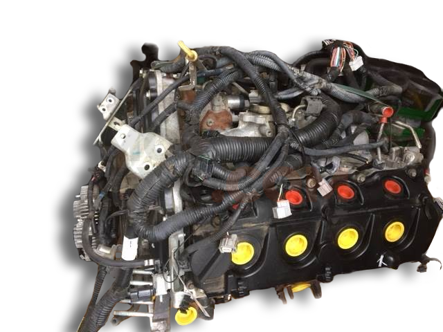 Motor YD25DDTI Nissan Navara III (D40) 2.5 dCi Double Cab (174 cv) 4WD Automatico