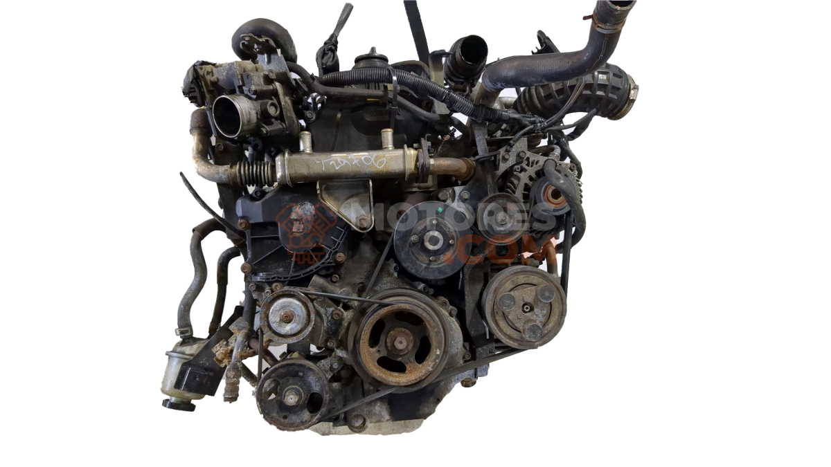 Motor YD25DDTI Nissan Navara III (D40) 2.5 dCi King Cab (174 cv) 4WD Automatico