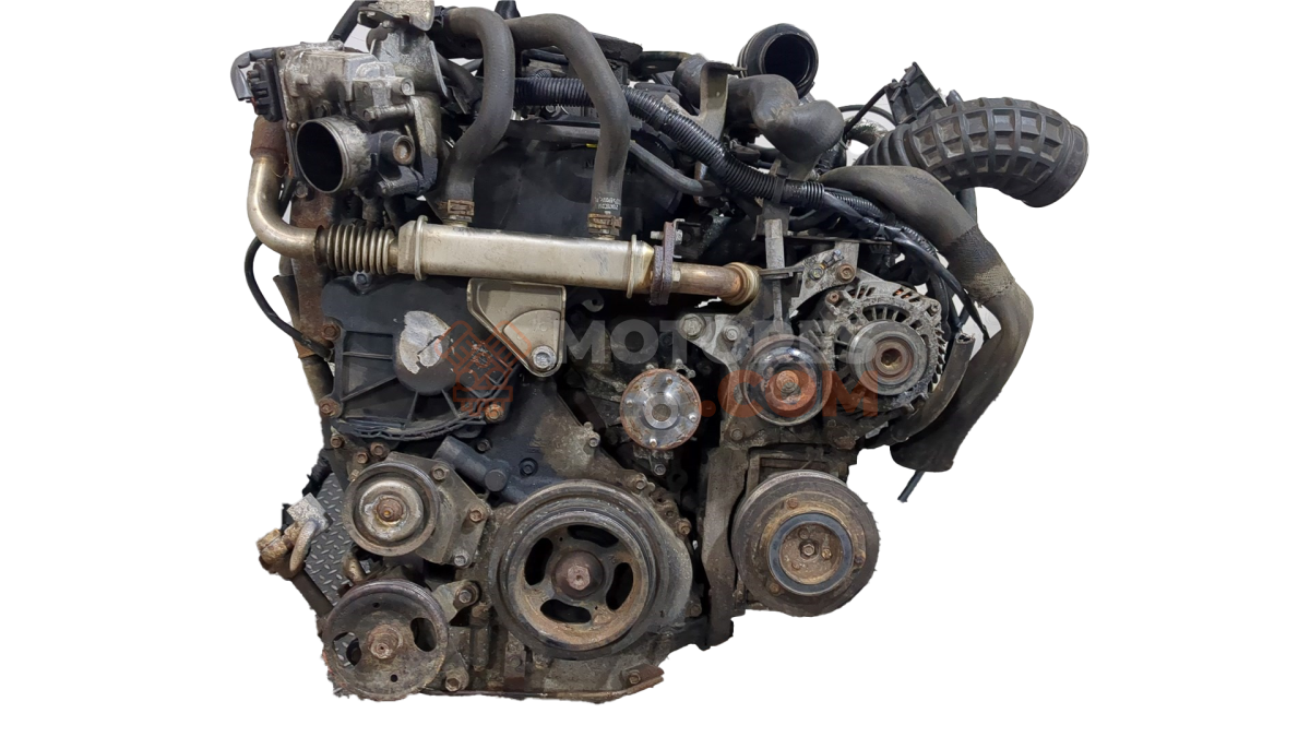 Motor YD25DDTI Nissan Pathfinder III 2.5 DTi 4WD (174 cv)