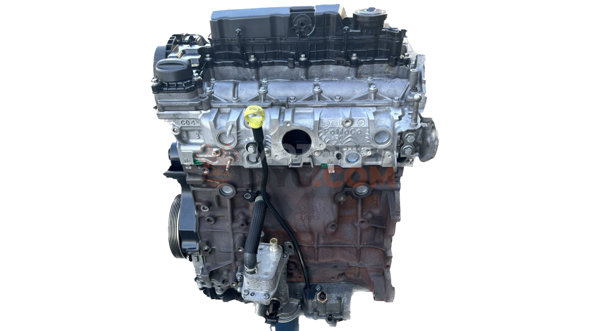 Motor yhr Peugeot Expert Furgón 2.0 BlueHDI (150 cv)