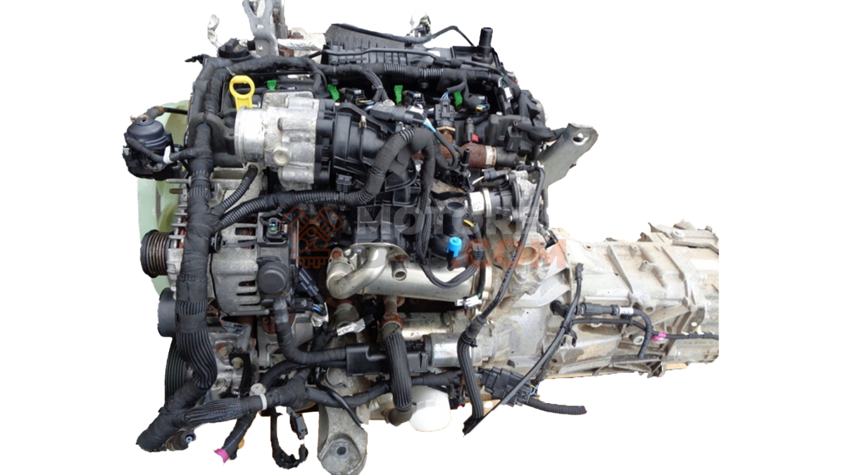 Motor YMR6 Ford Transit Autobús III 2.0 TDCi (170 cv)