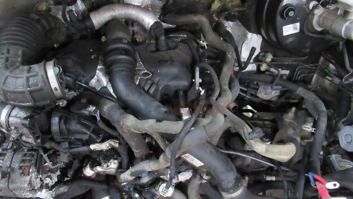 Motor YNF6 Ford Transit Custom V632 Furgón (FY,FZ) 2.0 Ecoblue (130CV)